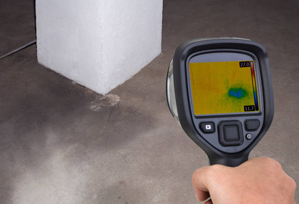 thermal leak detector